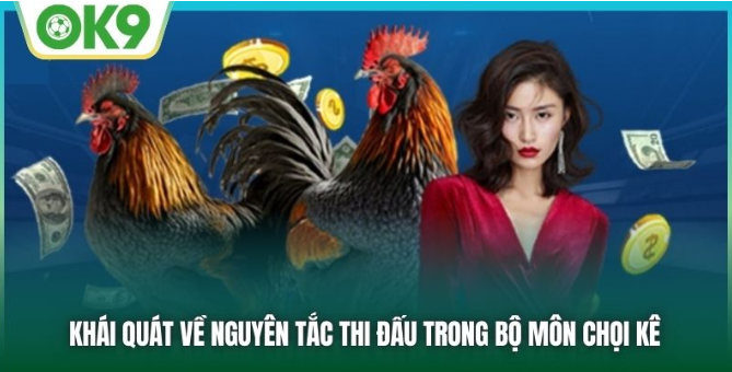 wm-casino-tai-ok9-kham-pha-the-gioi-giai-tri-truc-tuyen-dinh-cao-117